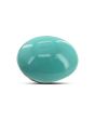 Arizona Turquoise (Firoza) 9.34 Carat 