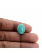 Arizona Turquoise (Firoza) 11.21 Carat 