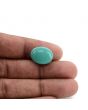 Arizona Turquoise (Firoza) 11.3 Carat 
