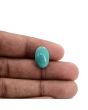 Arizona Turquoise (Firoza) 9.86 Carat 