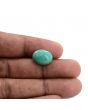 Arizona Turquoise (Firoza) 10.35 Carat 