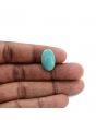 Arizona Turquoise (Firoza) 10.17 Carat 