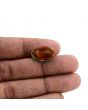 Arizona Turquoise (Firoza) 10.17 Carat 
