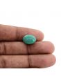 Arizona Turquoise (Firoza) 6.02 Carat 
