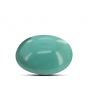 Arizona Turquoise (Firoza) 8.91 Carat 
