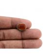 Arizona Turquoise (Firoza) 6.88 Carat 