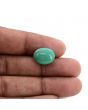 Arizona Turquoise (Firoza) 8.96 Carat 