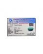 Arizona Turquoise (Firoza) 8.96 Carat 
