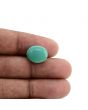 Arizona Turquoise (Firoza) 5.9 Carat 