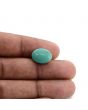 Arizona Turquoise (Firoza) 7.03 Carat 