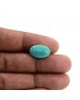 Arizona Turquoise (Firoza) 9.31 Carat 