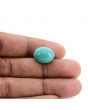 Arizona Turquoise (Firoza) 12.21 Carat 
