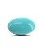 Arizona Turquoise (Firoza) 8.74 Carat 