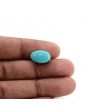 Arizona Turquoise (Firoza) 8.74 Carat 