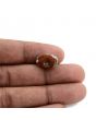 Arizona Turquoise (Firoza) 8.74 Carat 