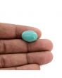 Arizona Turquoise (Firoza) 9.52 Carat 