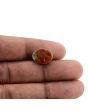 Arizona Turquoise (Firoza) 5.93 Carat 