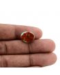 Arizona Turquoise (Firoza) 7.53 Carat 