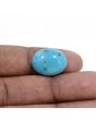 Irani Turquoise (Firoza) 9.16 Carat