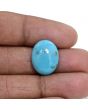 Irani Turquoise (Firoza) 9.16 Carat