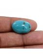 Irani Turquoise (Firoza) 14.24 Carat