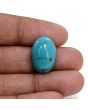 Irani Turquoise (Firoza) 14.24 Carat