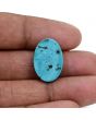 Irani Turquoise (Firoza) 14.24 Carat