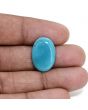 Irani Turquoise (Firoza) 8.29 Carat 