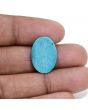 Irani Turquoise (Firoza) 8.29 Carat 