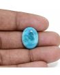 Irani Turquoise (Firoza) 9.28 Carat 