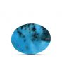 Irani Turquoise (Firoza) 6.4 Carat 