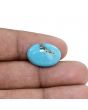 Irani Turquoise (Firoza) 9.2 Carat
