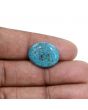 Irani Turquoise (Firoza) 8.19 Carat