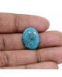 Irani Turquoise (Firoza) 8.19 Carat