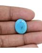 Irani Turquoise (Firoza) 6.26 Carat 