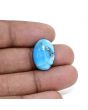 Irani Turquoise (Firoza) 8.72 Carat