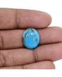 Irani Turquoise (Firoza) 8.17 Carat 