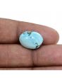 Irani Turquoise (Firoza) 10.67 Carat
