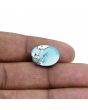 Irani Turquoise (Firoza) 10.67 Carat
