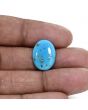 Irani Turquoise (Firoza) 5.38 Carat 