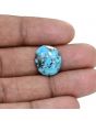 Irani Turquoise (Firoza) 9.82 Carat