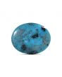 Irani Turquoise (Firoza) 9.74 Carat