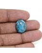 Irani Turquoise (Firoza) 9.74 Carat