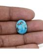 Irani Turquoise (Firoza) 7.01 Carat 