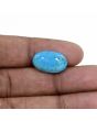 Irani Turquoise (Firoza) 8.56 Carat