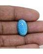 Irani Turquoise (Firoza) 8.56 Carat