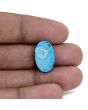 Irani Turquoise (Firoza) 8.56 Carat