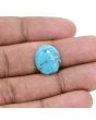 Irani Turquoise (Firoza) 5.3 Carat 