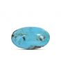 Irani Turquoise (Firoza) 4.95 Carat 
