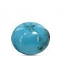 Irani Turquoise (Firoza) 6.48 Carat 